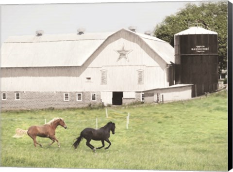 Framed Afternoon Run on the Farm Print