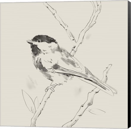 Framed Black Capped Chickadee II Print