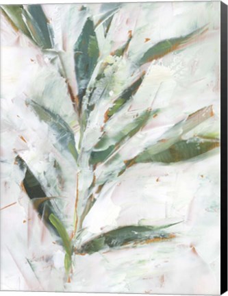 Framed Tropical Foliage Study I Print