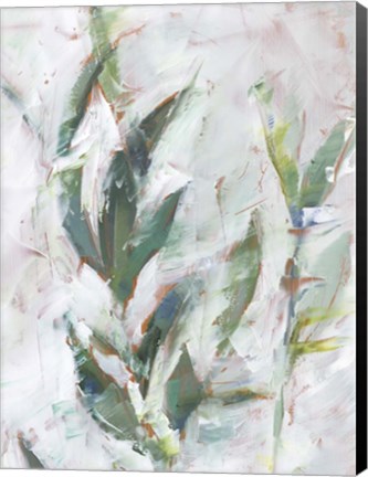 Framed Tropical Foliage Study II Print