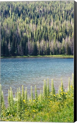 Framed Hidden Lake Print