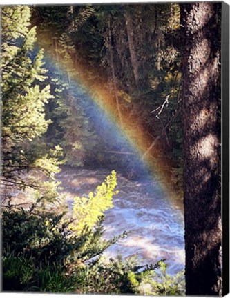 Framed Stream and Rainbow Collide Print