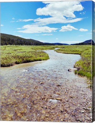 Framed Rocky Stream Print