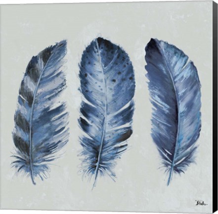 Framed Indigo Feathers II Print