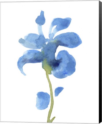 Framed Striking Blue Iris III Print