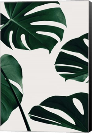 Framed Monstera Natural 2 Print