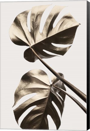 Framed Monstera Gold 8 Print