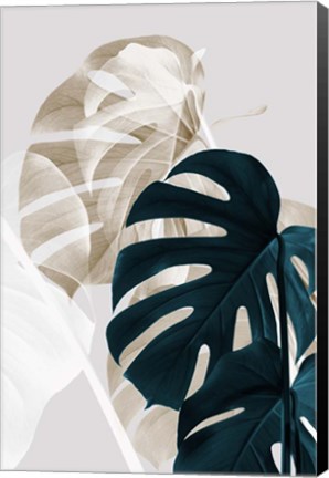 Framed Monstera Creative 5 Print