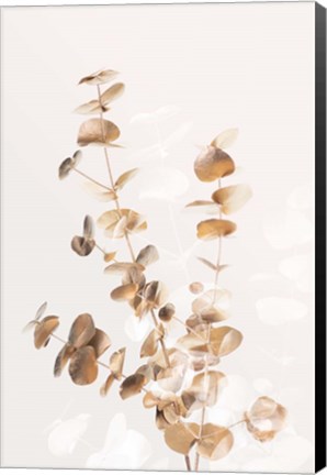 Framed Eucalyptus Creative Gold 3 Print