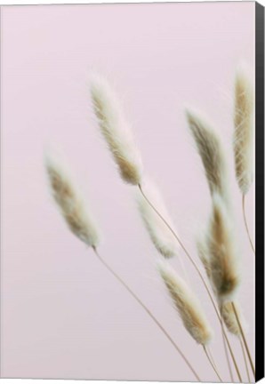 Framed Bunny Grass Pink 2 Print