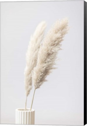 Framed Pampas Grass Grey 11 Print