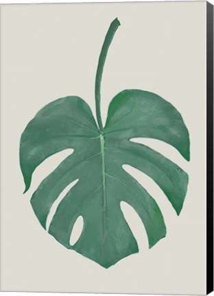 Framed Monstera Aqua 5 Print