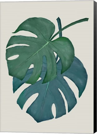 Framed Monstera Aqua 6 Print