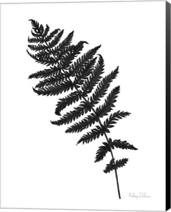 Framed Neutral Fern black I Print