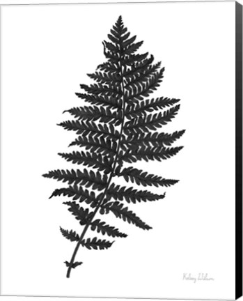 Framed Neutral Fern black II Print