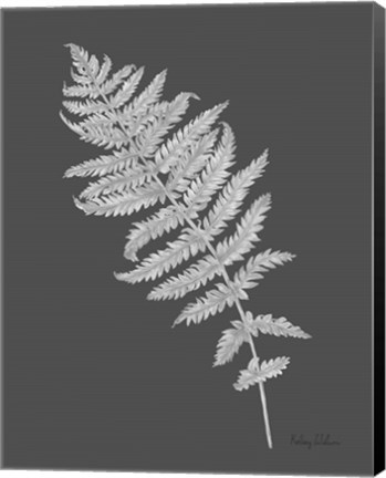 Framed Neutral Fern on grey I Print