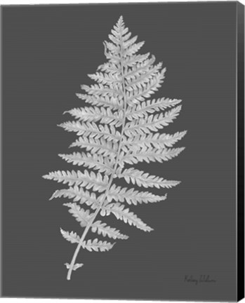 Framed Neutral Fern on grey II Print