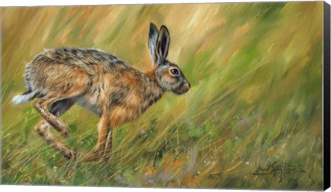 Framed Hare Running Print