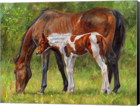 Framed Horse And Foal Grazing Print