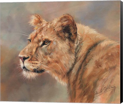 Framed Lioness Portrait Print