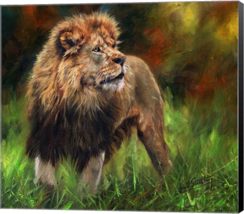 Framed Lion Full Length Print