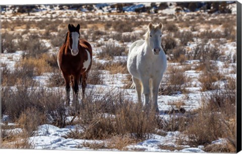 Framed Horses Print