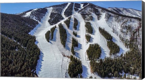 Framed Ski Trail Print