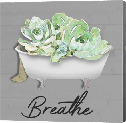 Framed Breathe Succulent Print