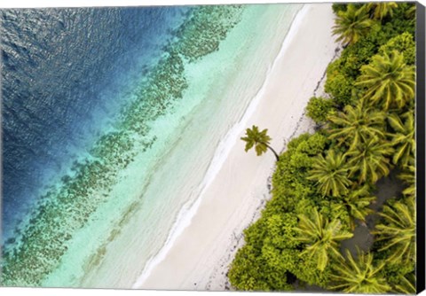 Framed Tropical Beach, Aerial View Print