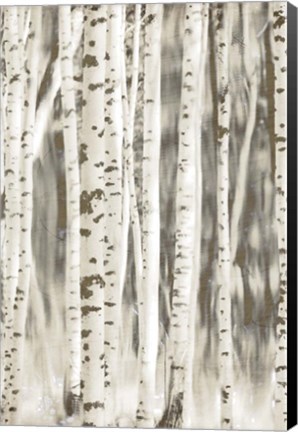 Framed Birches 2 Print