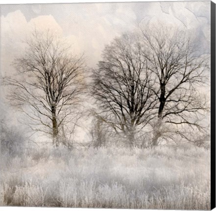 Framed Winter Frost 1 Print