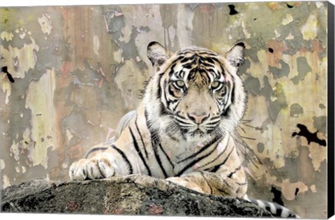 Framed Tiger Love Print