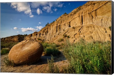 Framed Cannonball Concretion Print