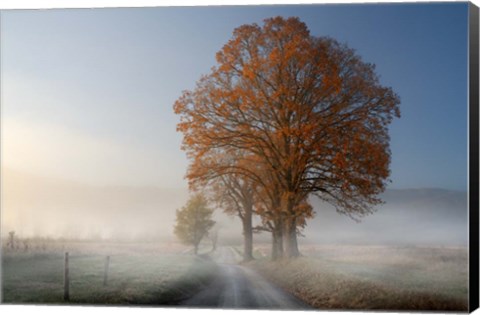 Framed Autumn on Hyatt Lane Print