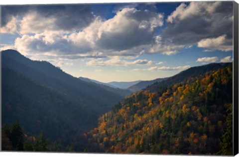 Framed Autumn in Appalachia Print