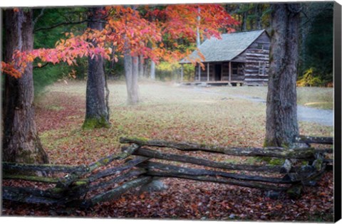 Framed Autumn at Carter Shields Cabin Print