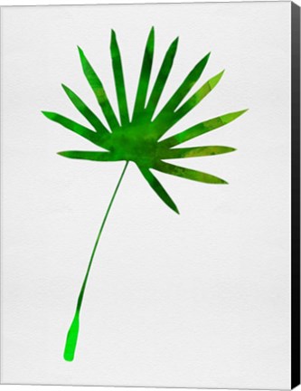 Framed Tropical Chamaerops Leaf I Print