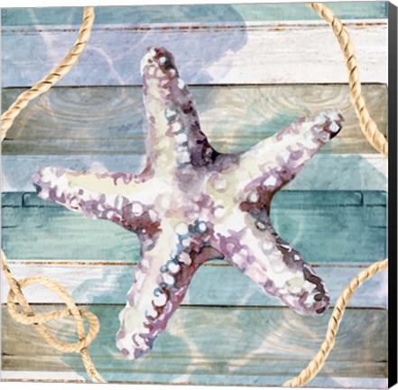 Framed Starfish Print