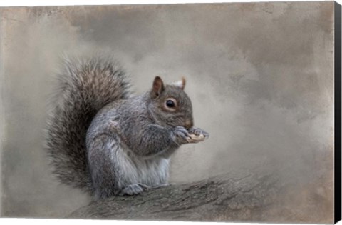 Framed Winter Nibbles Print