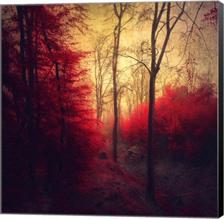 Framed Ruby Red Forest Print