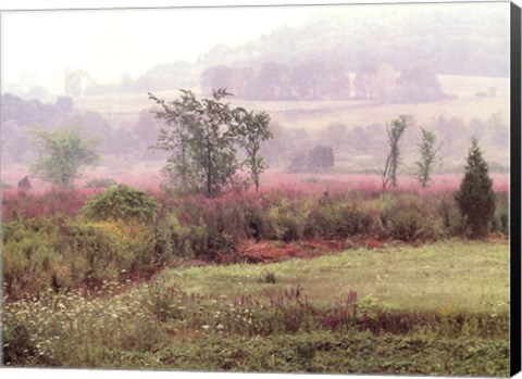 Framed Dreamscapes: Morning Meadow Print