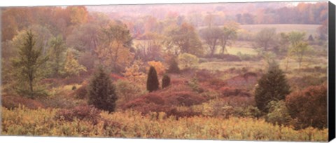 Framed Autumn Panorama Print