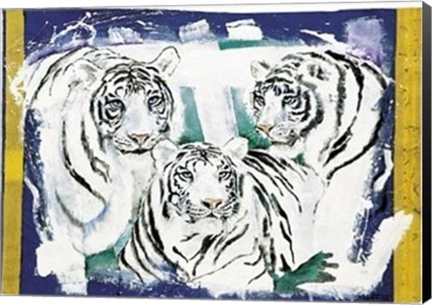 Framed Three White Tigers Print