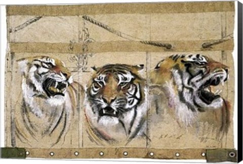 Framed Circus Tiger Print