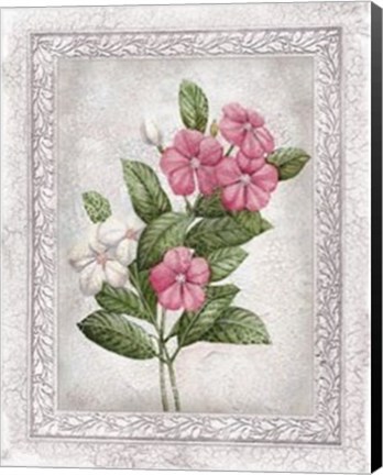 Framed Flowers of Spring III Print