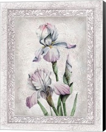 Framed Flowers of Spring IV Print