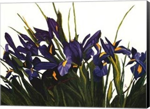 Framed Wild Iris Print