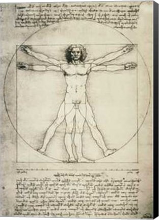 Framed Human Proportions-Vitruvian Man Print