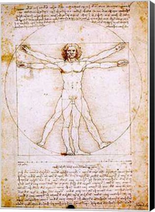 Framed Human Proportions-Vitruvian Man Print