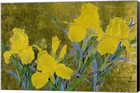 Framed Yellow Iris Print